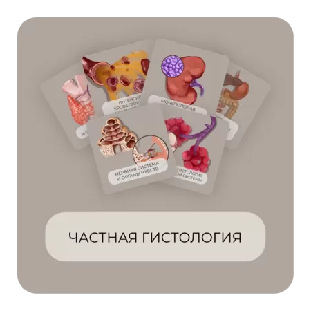 Купить бокс Частная гистология