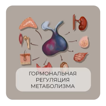 Гормональная регуляция метаболизма