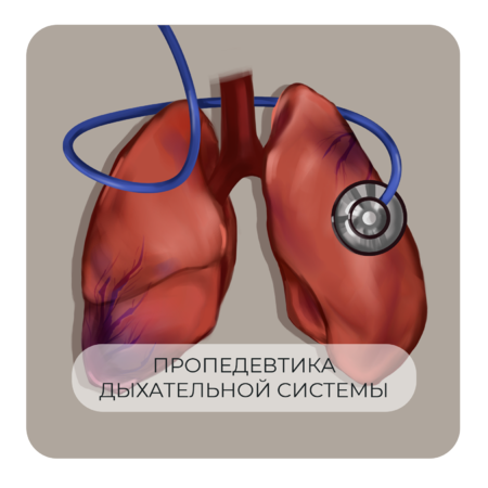 Пропедевтика дыхательной системы