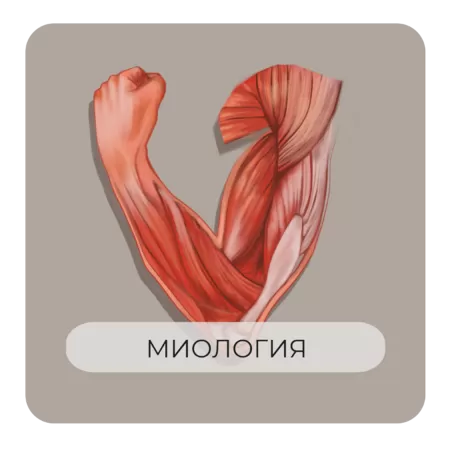 Миология