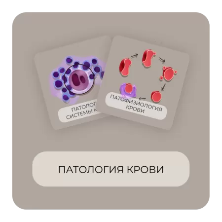 Купить бокс Патология крови
