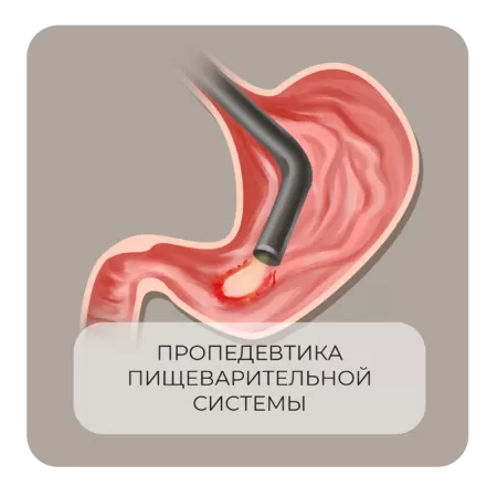 Пропедевтика пищеварительной системы