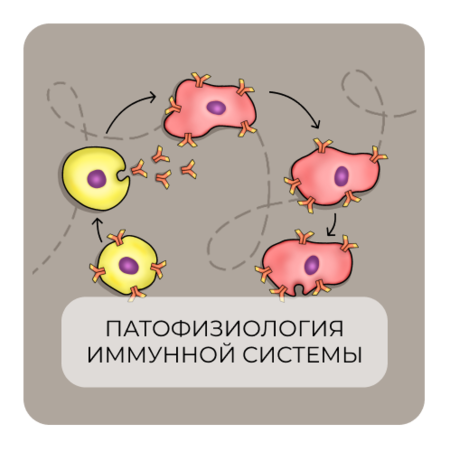 Патофизиология иммунной системы