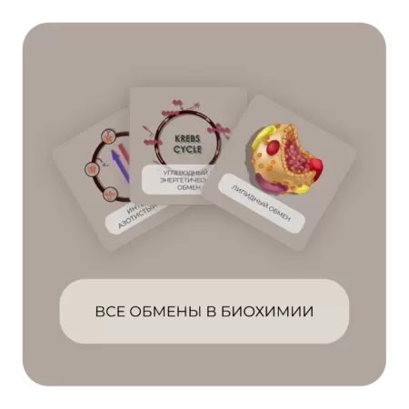 Купить бокс Все обмены в биохимии