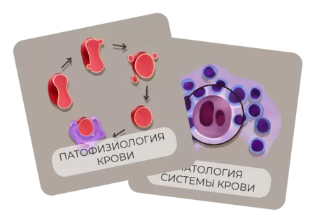 Купить бокс Патология крови