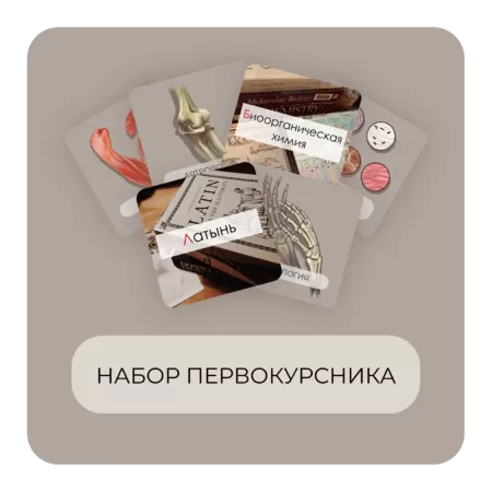 Купить бокс Бокс Набор первокурсника