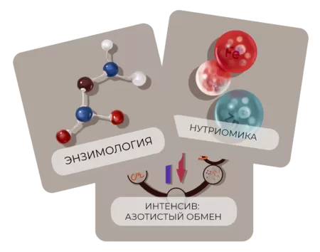 Купить бокс Биохимия. Начало