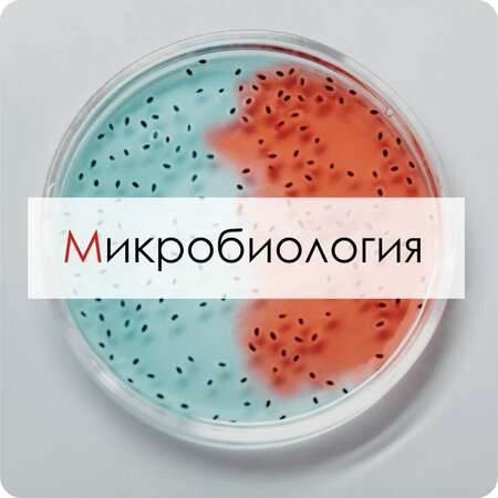 Микробиология курс онлайн