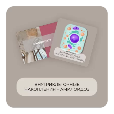 Купить бокс Внутриклеточные накопления + Амилоидоз